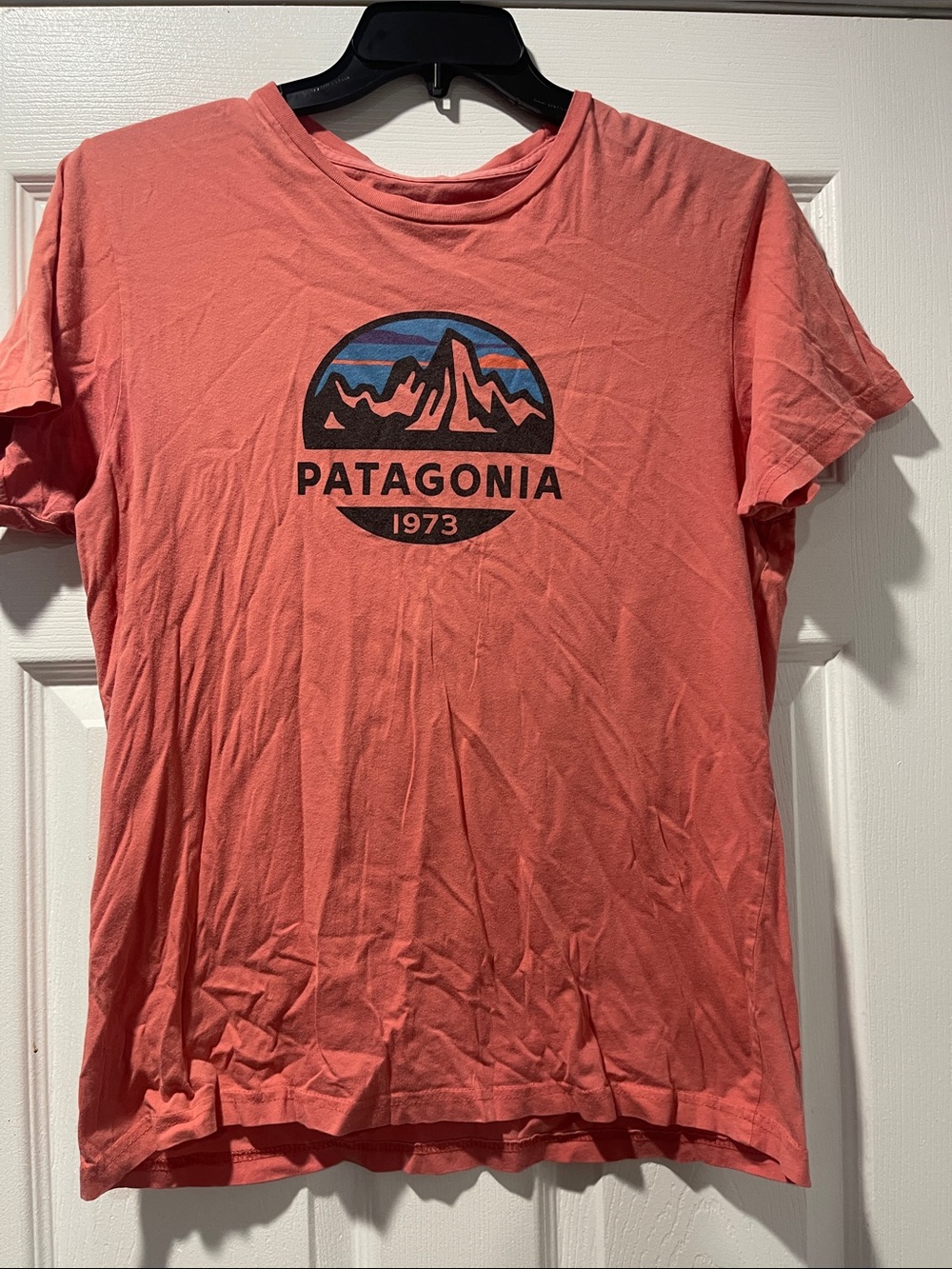 Patagonia Coral Graphic Logo Tee